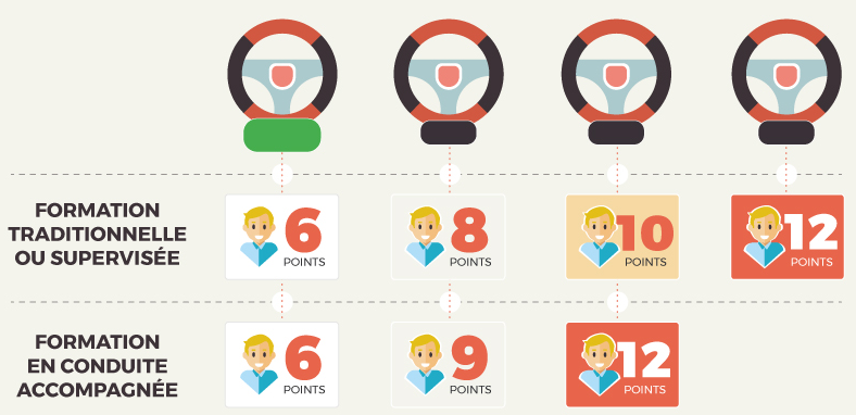 Formation traditionnelle ou supervisée : 6, 8, 10 puis 12 points. Conduite accompagnée : 6, 9 puis 12 points.